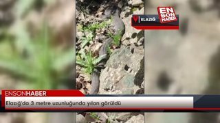 Elazığ'da 3 metre uzunluğunda yılan görüldü