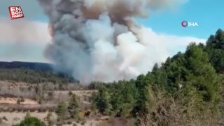 İspanya'da orman yangını