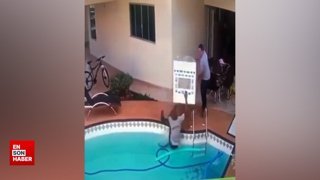 Dolap taşırken havuza düşen talihsiz adam