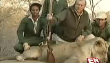 Avcılar aslanı öldürüp anı fotoğrafı çektiriyor