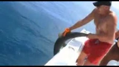 Yavru köpekbalığı avcının elini kaptı