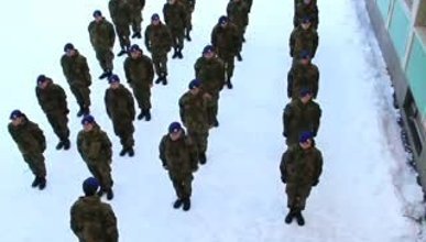 Harlem Shake - Norveç Ordusu