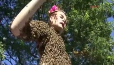 12 bin arı ile dans