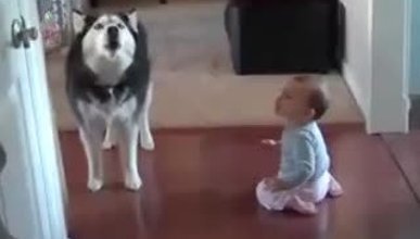Bebeği taklit eden köpek