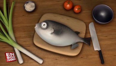 Yemek olmamak için direnen balığın dramı: Fugu Balık