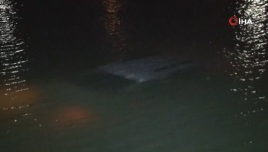 Adana'da virajı alamayan sürücü aracıyla göle düştü