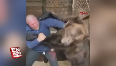 Rus dövüşçü ayıyla antrenmanını sosyal medyada paylaştı