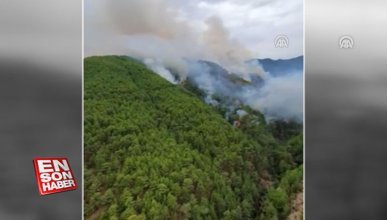 Mersin'deki orman yangınları büyümeden söndürüldü