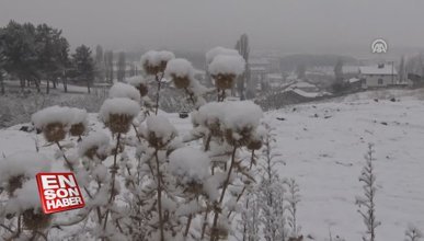 Kars, Ardahan ve Tunceli'de kar yağışı etkili oldu