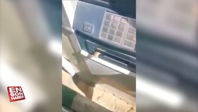 ATM'nin para çekme bölümünden fare çıktı