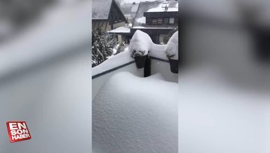 Almanya ve Hollanda'da kar yağışı