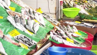 Müsilaj nedeniyle balık satışlarındaki düşüş devam ediyor