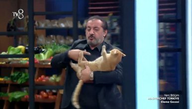 Kediyi sevmek isteyen Mehmet Şef'e tatsız sürpriz