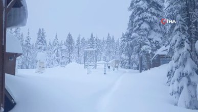 ABD'nin Sierra Nevada bölgesinde rekor seviyede kar yağışı