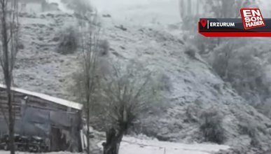 Erzurum'da kış devam ediyor