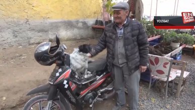 Yozgat'ta motosiklet tutukunu köpek görenleri hayrete düşürüyor