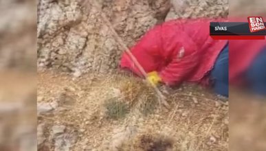 Sivas'ta bir çoban, kırsalda kaybolmuş engelli vatandaşı buldu