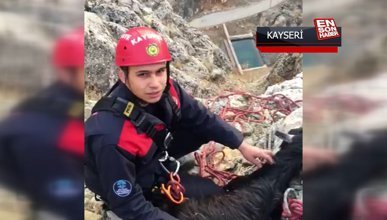 Kayseri'de itfaiyeden 3 saatlik keçi kurtarma operasyonu