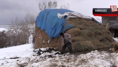 Hakkari'de besicilerin kış şartlarıyla mücadelesi başladı