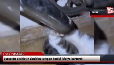 Bursa'da bisikletin zincirine sıkışan kediyi itfaiye kurtardı