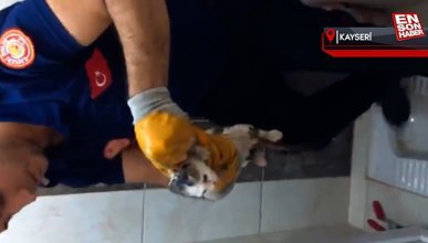 Kayseri'de tuvaletin deliğine sıkışan yavru kedi kurtarıldı