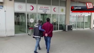 Şırnak'ta kaçakçılık operasyonu: 44 gözaltı