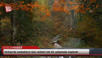 Türkiye'de sonbaharın tüm renkleri