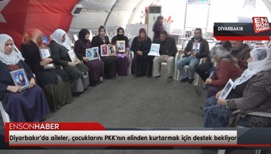 Diyarbakır'da aileler, çocuklarını PKK'nın elinden kurtarmak için destek bekliyor