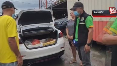Tayland'da bir kadının aracından 68 kaçak hayvan cesedi çıktı