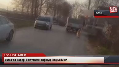Bursa'da köpeği kamyonete bağlayıp koşturdular