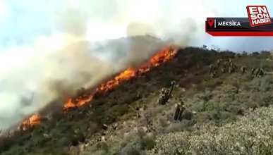 Meksika’da orman yangını