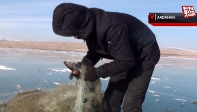 Çıldır Gölü'nde Eskimo usulü balık avı: Bırakılan ağlar toplanıyor