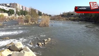 Mersin'deki Göksu Nehri'nin rengi değişti