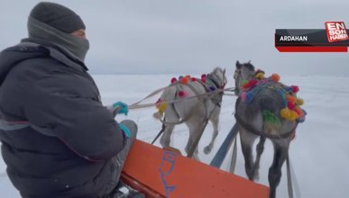 Çıldır Gölü'nün atlı kızakçıları turistleri dörtnala gezdiriyor