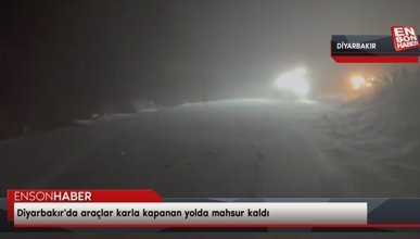Diyarbakır'da araçlar karla kapanan yolda mahsur kaldı