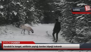 Karabük'te kangal, sahibinin yaptığı kardan köpeği kıskandı