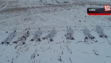 Kış Tatbikatı-2023 Kars'ta devam ediyor