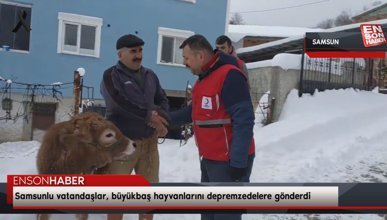 Samsunlu vatandaşlar, büyükbaş hayvanlarını depremzedelere gönderdi