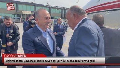 Dışişleri Bakanı Çavuşoğlu, Mısırlı mevkidaşı Şukri ile Adana'da bir araya geldi