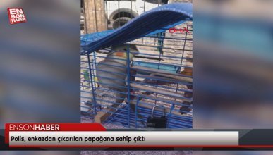 Kahramanmaraş'ta enkazdan çıkarılan papağana polis sahip çıktı