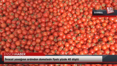 İhracat yasağının ardından domatesin fiyatı yüzde 40 düştü