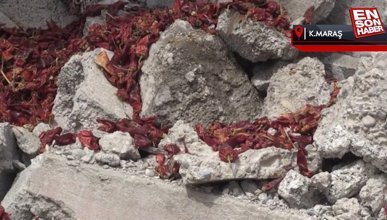 Kahramanmaraş'ın ünlü kırmızı biberi de enkaz altında kaldı