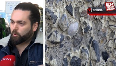 Maltepe köprüsünde midye kabukları ortaya çıktı