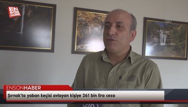 Şırnak'ta yaban keçisi avlayan kişiye 261 bin lira ceza