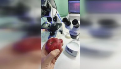 Meyveleri yıkamanın önemi: Ortaya çıkanlar şaşırttı