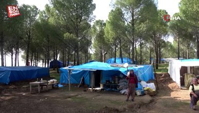 Kahramanmaraş'ta evleri yıkılan aileler ormanı mesken tuttu
