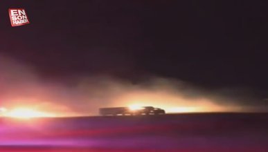 Teksas'ta mandıra yangını: 18 bin inek telef oldu