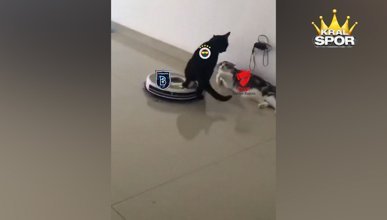 Fenerbahçe ile Başakşehir'in Türkiye Kupası göndermeleri