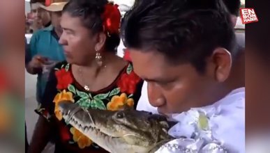 Meksika'da belediye başkanı timsahla evlendi: Uğur getirsin