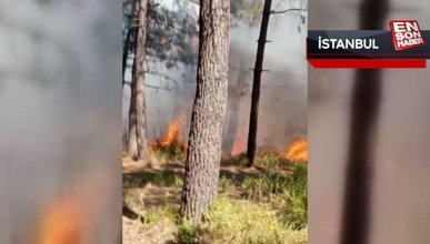Sultangazi' de orman yangını